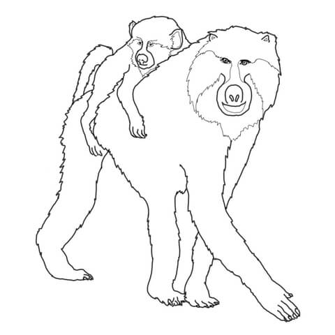 Mohter And Baby Baboon Coloring Page